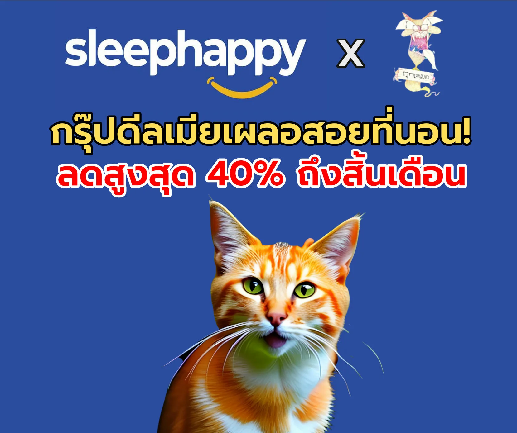 [GroupDeal] ที่นอน sleephappy ลด 40% ถึงสิ้นเดือนพฤษภา เริ่มต้น 3,900!